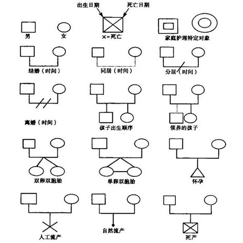 家族樹離婚